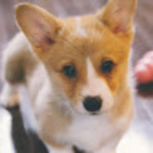 Meet your Posher, Eva